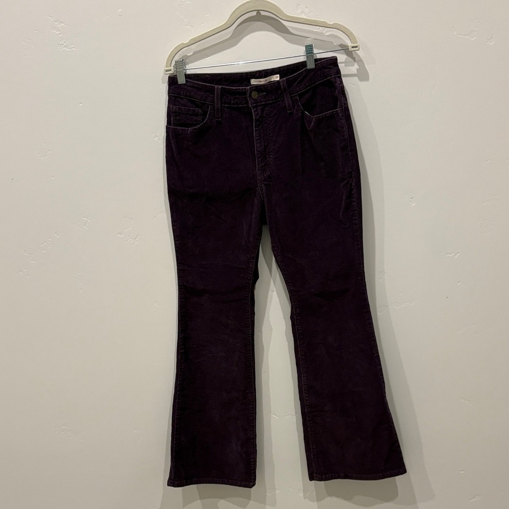 Levi's Women's Purple Boot Cut Pants